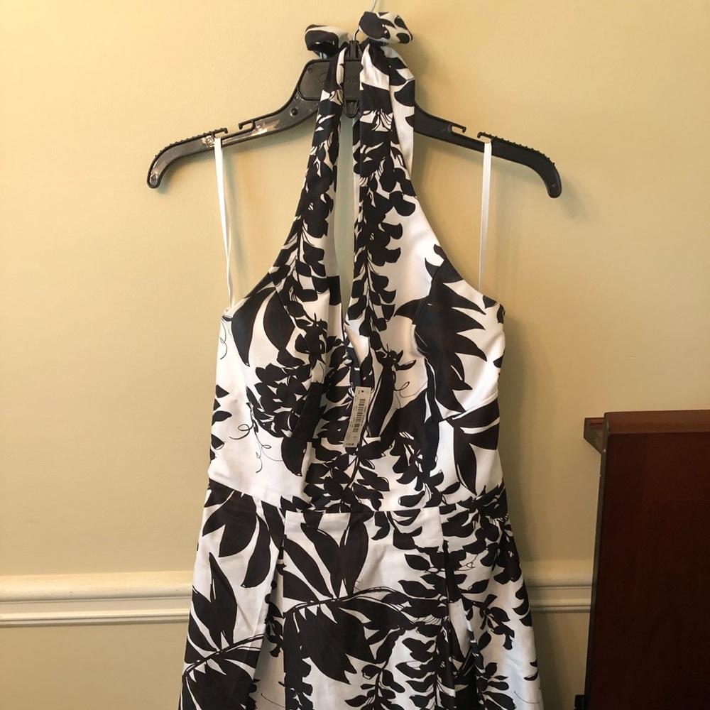 White House Black Market New Dress with Tag